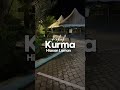 Pokok Kurma Hiasan Laman Eksklusif