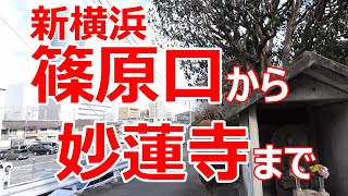 新横浜 篠原口から妙蓮寺まで