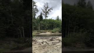 40 acre ALR homestead Sayward BC