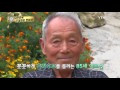 황금나침반 대한민국 초대형을 찾아서