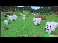 attacking one wolf in front of about 64 wolves minecraft