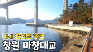 주차하고 바로 낚시 가능한 창원 마창대교 포인트 둘러보기