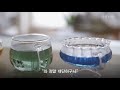 눈으로 마시는 차 꽃차 소믈리에 flower tea sommelier 남현준