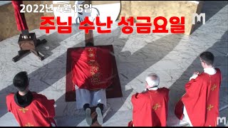 메주고리예 2022년 4월5일 주님 수난 성금요일 Fr  Zvonimir pavicić 깅론