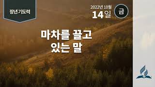 [10월 14일 금요일 장년기도력] 마차를 끌고 있는 말