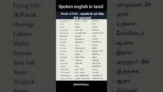 spoken english in tamil|daily use vocabulary #spokenenglish #englishspeaking #english