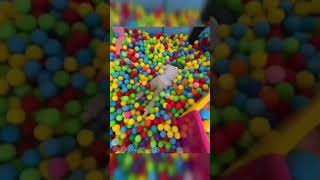Hasbulla hiding in a pool full of balls