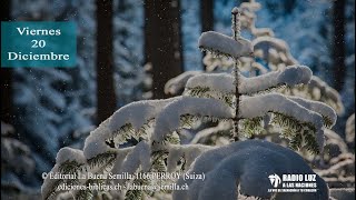 La Buena Semilla  - 20 Diciembre 2024  (El Evangelio es poder para salvación)