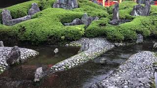 京都  松尾大社の庭園　　Zen  Gardens　in  Kyoto. Japan    想い出セレクション