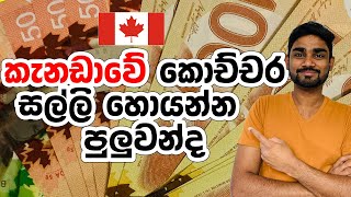 කැනඩාවේ අවම වැටුප කීයද | Minimum Wages of Canada Provinces in Sinhala