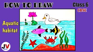 Aquatic habitat drawing|water habitat drawing|underwater drawing|how to draw an underwater scene