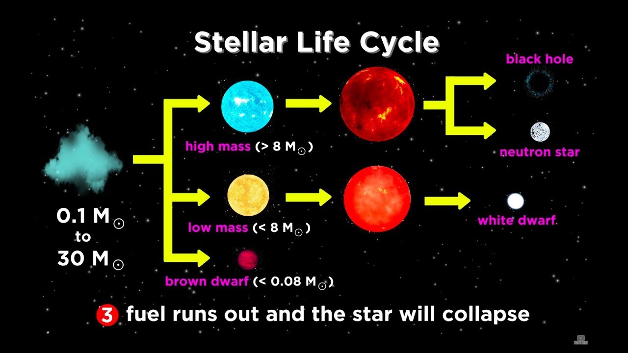 The Life And Death Of Stars: White Dwarfs, Supernovae, Neutron Stars ...