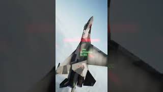 Ace Combat 7 : Multiplayer : SU-35S impressive PSM(post stall maneuver)