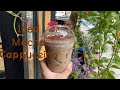 Cafe Vlog | Iced Mocha Cappuccino | new recipe drinks.