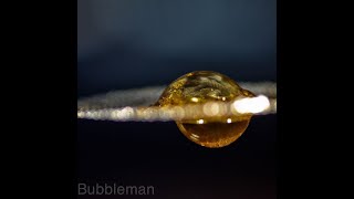 Bubbleman's World Live Stream