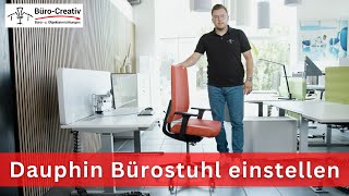 Dauphin Bürostuhl richtig einstellen | Schritt-für-Schritt Anleitung für ergonomisches Sitzen