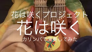 【カリンバ演奏】花は咲くプロジェクト「花は咲く」演奏してみた