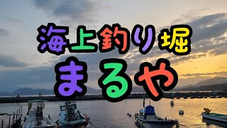 海上釣堀まるやさんに行ってきました！2021年3月20日