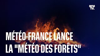 Météo-France dévoile un nouveau bulletin, "la météo des forêts"