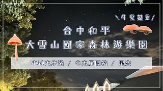 【2024 台中和平大雪山國家森林遊樂園 - 02】Ep7.大雪山國家森林遊樂園｜小神木步道｜森林浴步道｜小木屋｜星空｜菇蕈