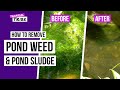 How to control pond blanket weed & pond sludge