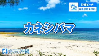 【沖縄ビーチ】本島北部 #009 カネシバマ（今帰仁村）