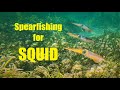 SPEARFISHING for SQUID - with a SHARK inspired twist