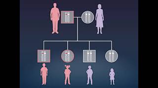 CRISPR-Cas9 Gene Editing for Sickle Cell Disease and β-Thalassemia CTX001 on NEJM