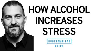How Alcohol Actually Increases Stress Levels, Rather Than Relaxing You | Dr. Andrew Huberman