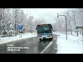 hokkaido x biei blue pond sample itinerary 北海道 x 美瑛 青池 白雪冬季 旅程様本