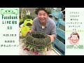 コプロスマ マーブルクイーン_ギャザリングハンギングリースの作り方【花ズバっ】82旬の花とその使いかた紹介 花創人ガーデニング教室