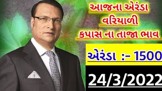 Aerda na bhav | 24-03-2022 | એરંડાના ભાવ : 2022 | Information about cotton price | Commodity Trend