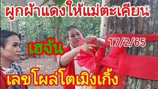 ผูกผ้าแดงให้แม่ตะเคียน เฮจ้น เลขโผล่โตเมิงเกิ้ง17/2/65