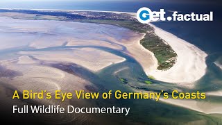 Wild Germany - The North and Baltic Sea Coastlines | Full Documentary, Part 1