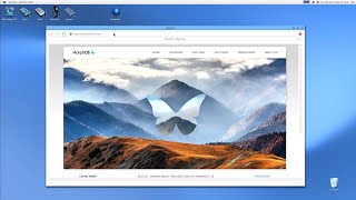 Wayfarer 8.8 on MorphOS 3.18