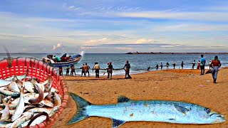 കമ്പ വലയിലെ കൊമ്പൻ | kollam beach | fish auction | fishing | You map traveller