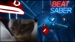 【Beat Saber】Chipi chipi chapa chapa cat（Expert+）