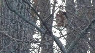 **THINGS ARE NOT AS THEY APPEAR!!!******it's crazy how EVERYTHING looks normal UNTIL