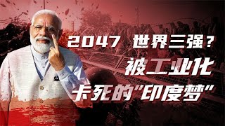 发展中国家农业是牺牲品，为何印度是个例外？@yanzu2024