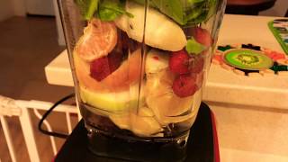 Vitamix Venturist - Smoothie 3