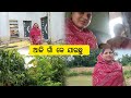 AJI AAME GHAR KE JAUCHHU || NEW SAMBALPURI VLOGS VIDEO || VILLAGE VLOGS VIDEO #video #vlog