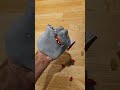 hungry hand eats bluey fruit snacks