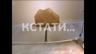 Готовясь к приезду замминистра ЖКХ России коммунальщики раздали жителям улицы Жукова деньги