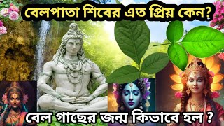 বেল পাতা শিবের এত প্রিয় কেন? বেল গাছের জন্ম কিভাবে হল ?🙏 #বেলপাতা#বেলগাছ#shiv #shiva#shivling#shiba