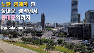 [4K] 노란 꽃(금계국🌻🌻🌻)으로 뒤덮인 동대문 Dongdaemun (1.June.2022, 15~29℃) (with closed caption, Eng sub)