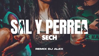SAL Y PERREA (REMIX) SECH, DJ ALEX
