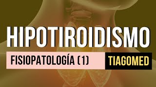 HIPOTIROIDISMO - Fisiopatología y clasificación (Parte 2)