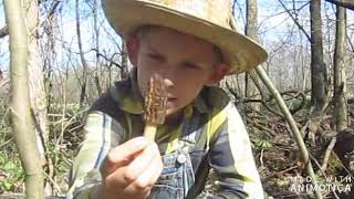 Morel Mushrooms - Part 1- Hunting