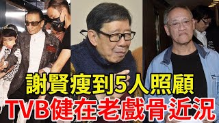 TVB健在的8位老戲骨近況，1個90歲黃昏戀，1個半身癱瘓做輪椅，謝賢瘦到5人照顧太唏噓羅蘭，胡楓，餘子明，謝賢，吳耀漢，黃一飛，餘子明，周聰