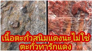 เนื้อตะกั่วสนิมแดง นะครับไม่ใช่ตะกั่วทารักสีแดง ระวังโดนหลอก!!!